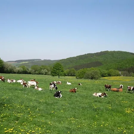 Appartement Anita Wald *