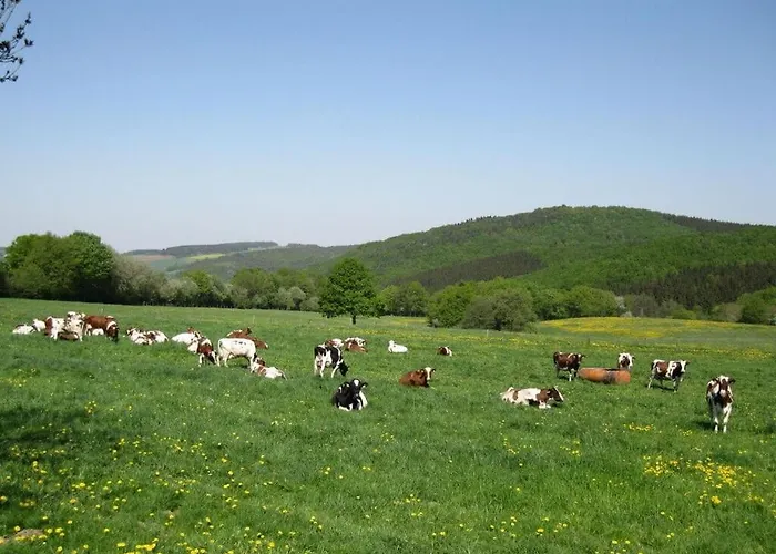Appartamento Anita Wald *