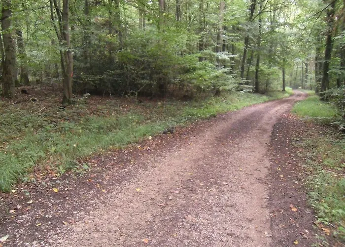 Appartamento Anita Wald