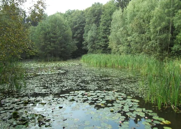 Appartamento Anita Wald *