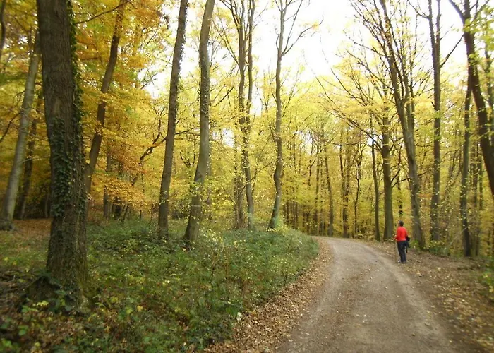 Appartamento Anita Wald Bad Muenstereifel
